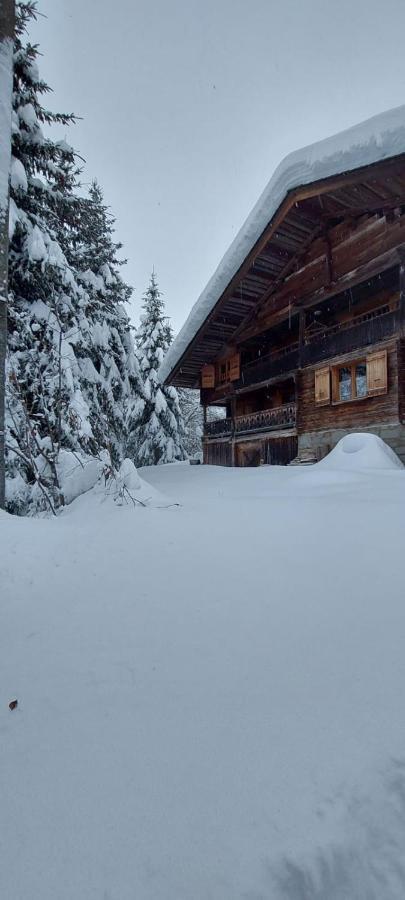 Charmieux Appartement En Chalet Typique Le Grand-Bornand Eksteriør billede